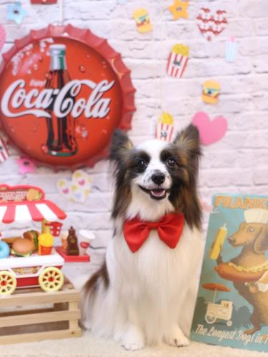 20230910マリーちゃん